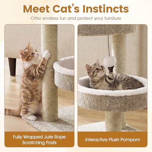 Árbol para Gatos Pequeño 24 pulg, Multi-Niveles con Rascadores miniatura 6