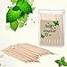 600 Pcs Bulk Mint Toothpicks Wood Toothpicks Mint Flavored Toothpicks with 6 Clear Plastic Boxes for Kitchen Appetizers Fruit Tray Essential Teeth Dental Care