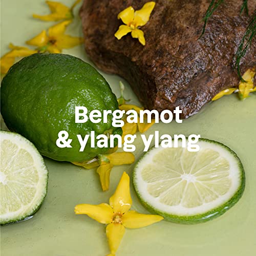 Attitude Conditioner With Essential Oils, Plant And Mineral-Based Ingredients, Vegan Beauty Products, Aluminum Bottle, Nourishing, Bergamot And Ylang Ylang, 16 Fl Oz #TOP2