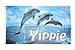 Produktbild Flaggenfritze® Flagge Delphin Delfin Yippie 90x150cm