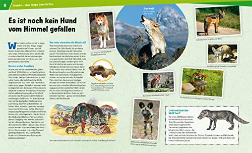 WAS IST WAS Band 11 Hunde. Helden auf vier Pfoten (WAS IST WAS Sachbuch, Band 11)