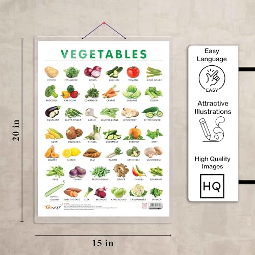 Image of VEGETABLE CHART HARD LAMINATED | inchColorful Garden Guide inch