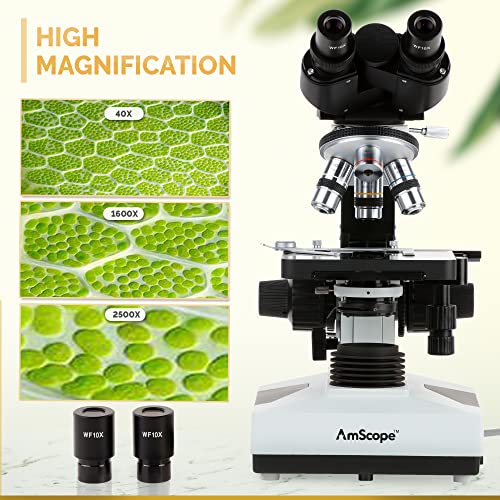 Image of AmScope B490B-DK Compound Binocular Microscope, WF10x and WF20x