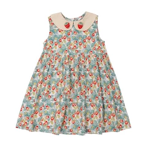 Little Bitty Toddler Girls Dresses Cotton Sleeveless Casual Strawberry Print Summer Sundress for Kids Size 5T Cover