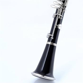 クラリネット。ブラック Amazon | クラリネット クラリネット 黒管楽器