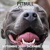 Calendario Pitbull Septiembre 2021 - Diciembre 2022: Cuadrado Libro de Fotos Planificador Mensual Calendario de regalo para los amantes del Pitbull I ... y mujeres I Con los días festivos de EE.UU.