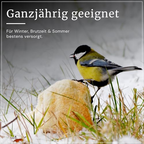 Erdtmanns 12 Mixketten für Wildvögel – je 8-teilig mit Meisenknödeln, Erdnüssen & Sonnenblumenkernen – energiereiches Vogelfutter für Garten & Balkon – Ganzjahresfutter zum Aufhängen