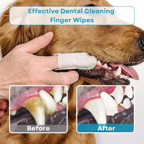 Image of Pets Teeth Cleaning Finger Wipes - Pets Dental Wipes | Dogs & Cats Finger Toothbrush - Hypoallergenic, Unscented Cleaning & Oral Hygiene for Fresh Breath and Healthy Wipes (Pcs-50)