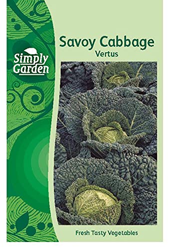 Simply Garden Cabbage Savoy Vertus Seeds Leafy Vegetable Grow Your Own Garden