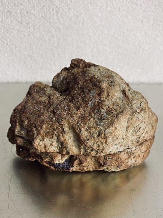 清水志郎 香合 茶道 茶道具 / 人間国宝 清水卯一氏の孫 陶器 陶芸 陶芸家 Amazon.co.jp: 清水志郎 香合 京都 茶道 人間国宝 清水卯一氏の