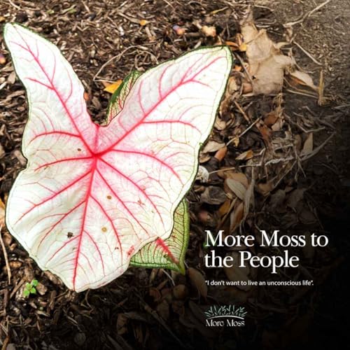 &ldquo;I don&rsquo;t want to live an unconscious life&rdquo;.