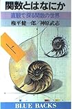 関数とは何か 直観で探る関数の世界 (ブルーバックス)