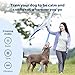 PetSafe 900 Yard Remote Training Collar Choose from Tone, Vibration, or 15 Levels of Static Stimulation Longest Range Option for Training Off Leash Dogs Waterproof and Durable Rechargeable