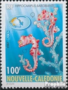Prophila Collection Neukaledonien 1997 Fische Zwergseepferdchen Briefmarke