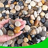 Pebbles for Plants 3 lb Natural Garden Decorative Stone Outdoor Aquariums Gravel 1-1.5 Inches