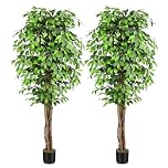 Keeplush 7ft. Large Ficus Artificial Trees with Natural Curved Trunks, 84" Tall Lush Faux Tree for Home Decor Indoor, Green Lifelike Fake Ficus Tree Artificial Plants in Pot（Pack of 2）
