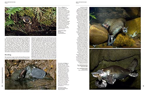 Handbook of the Mammals of the World - Volume 5: Monotremes and Marsupials (Handbook of Mammals of the World) - Image 3