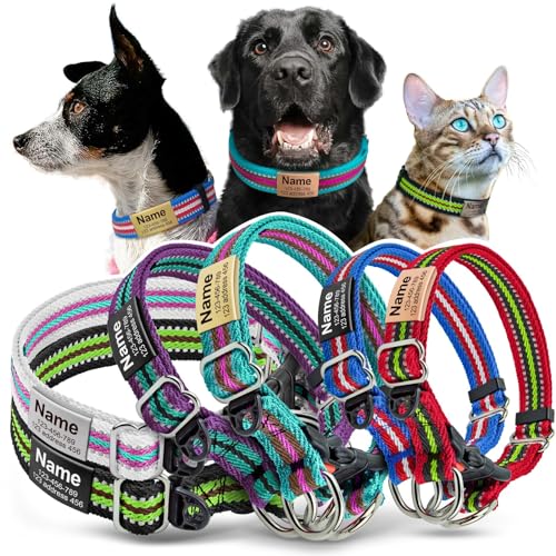 Breakaway Collars for Dogs The 15 best products compared Wild Explained