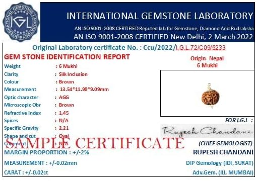 16mm Cheh Mukhi Rudraksha Original Certified 6 Face Rudraksha Pendant छह मुखी रुद्राक्ष Blessed Mahadev For Locket