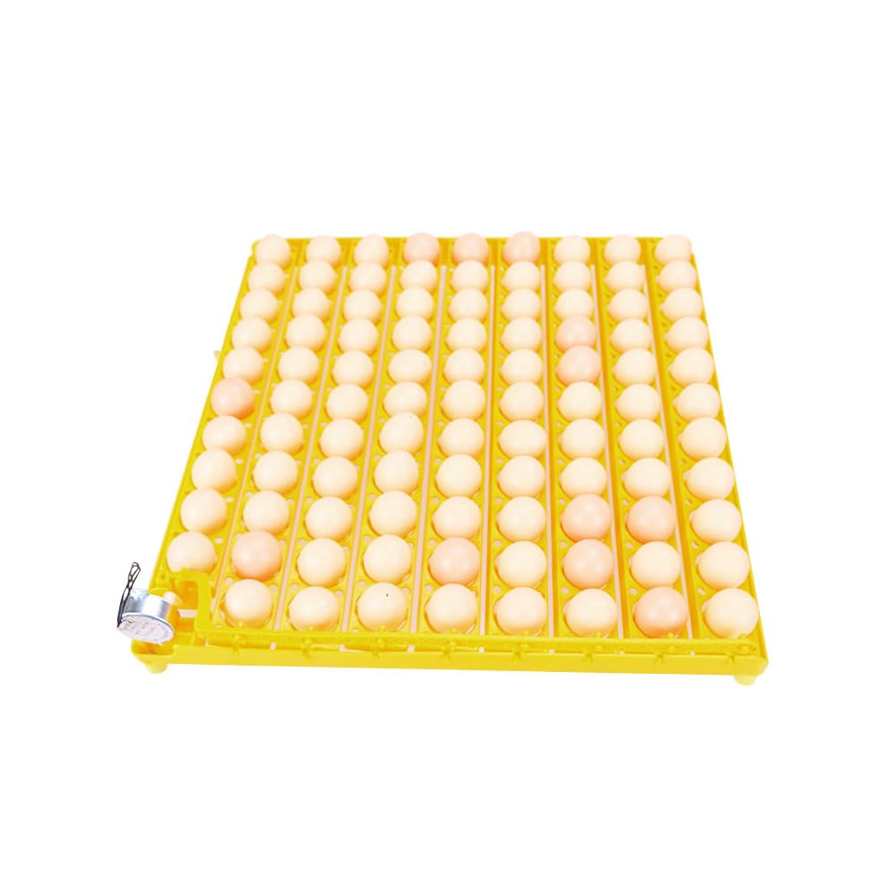 incubatrice Automatica EM100 capacità 98 Uova di Gallina faraona Anatra girauova Automatico