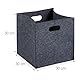 Relaxdays Aufbewahrungsbox 2er Set, Faltbare Regalboxen, HBT: 30x30x30 cm, Grifflöcher, Faltboxen aus Filz, anthrazit