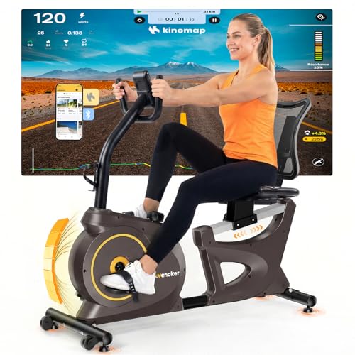 Vélo d'appartement ergomètre avec frein magnétique, capteurs de pouls et écran LCD, 15 niveaux de résistance, ergomètre d'assise avec dossier pour...