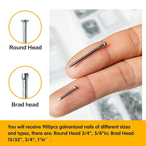 Tuplip Fe- Picture Hanging Kit, Nails Hammer Set, Assorted Nails 900Pcs 5 Sizes With 100G Engineers' Hammer, Small Hammer & Small Nails For Wood/Wall/Frame/Photo/Carpentry/String Art Diy #TOP4