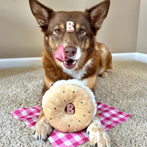 CHEWFFON Hund Plüsch Quietschspielzeug Interaktives Bagel Form Welpen Schnüffelspielzeug Niedlich Hund Puzzle Anreicherung Spielzeug Leckerli Puzzle für Kleine und Mittlere Hunde