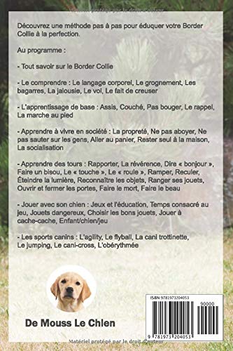 L'EDUCATION DU BORDER COLLIE: Toutes les astuces pour un Border Collie bien éduqué
