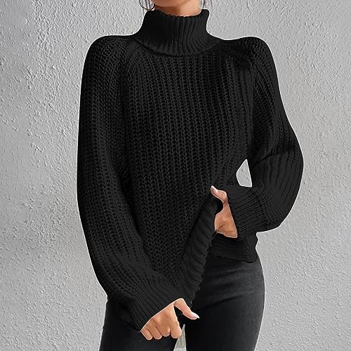 Turtle Neck Sweater Shirts for Juniors Winter Fall Long Sleeve Crochet Knit Plain Tops Shirt Blouses Women 2023 Y2K2