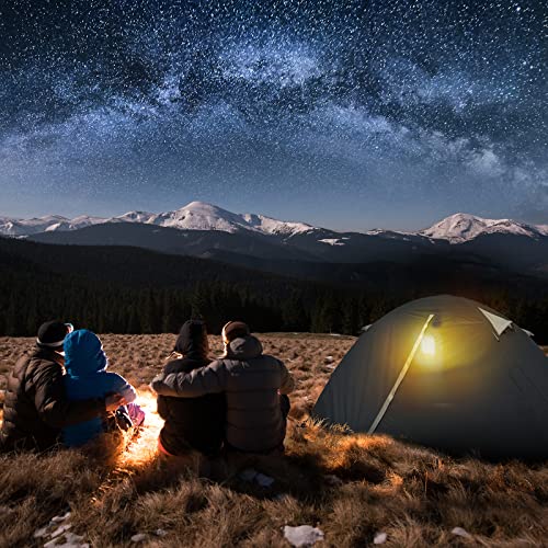 Bessport Camping Tent 2 Person Tent Waterproof Two Doors Backpacking Tent Easy Setup Lightweight for Outdoor, Hiking Mountaineering Travel