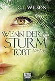Cover zum Buch Wenn der Sturm tobt