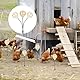 2 Stück Futterspender Hühner, Interaktives Futterautomat Hühnerspielzeug mit Frühling Chicken Slow Feeder Schaukel-Pickspielzeug Hühner Spielzeug für Geflügel Enten Vögel