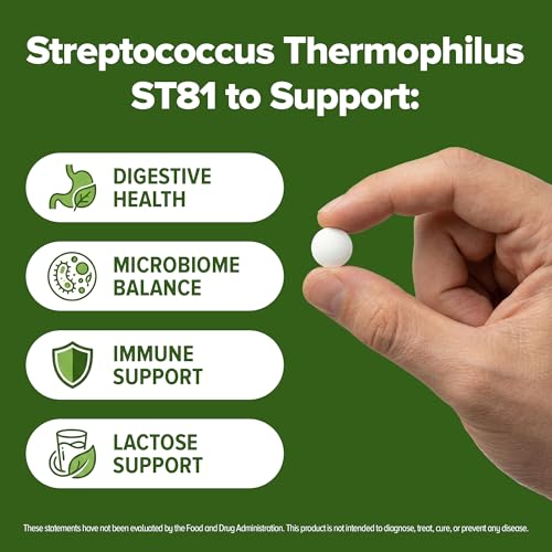 Image of Streptococcus Thermophilus Probiotic 240 Tablets (4 Month Supply) - Researched Strain ST81 - 3 Billion CFU - Digestive Health & Lactose Support - GMP Certified (240, Streptococcus Thermophilus)