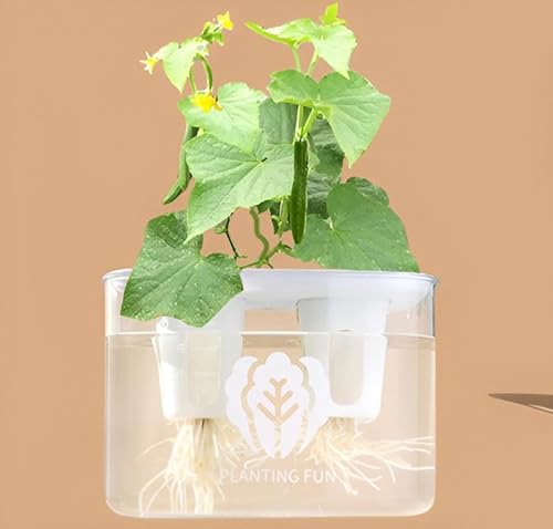 Syfunlv Panier de Légumes Hydroponique,Pot Plantation Hydroponique Réutilisable,Panier Plante Aquatique,pour Culture hydroponique aéroponique,Plantation de Fleurs,Jardinage (Style 7)