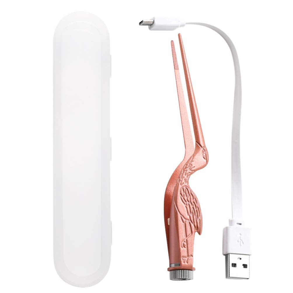 Lurrose 1 Set Ear Cleaning Forceps with Light Stainless Steel Rechargeable Ear Cleaner Ear Scope Earwax Removal Tool