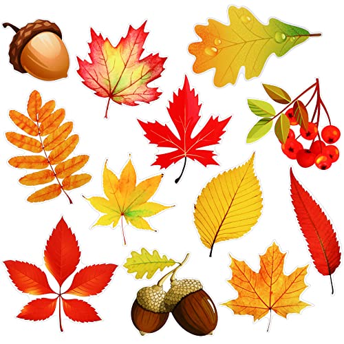 Konohan 12 imanes decorativos hojas de otoño