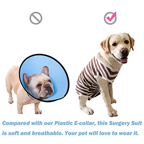 Combinaison convalescence chien alternative collerette maison - 6