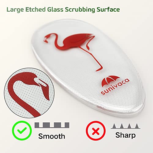 Sunivaca Glass Foot File Callus Remover For Feet, Flamingo Gifts For Women, Feet Scrubber Dead Skin Remover, Professional Pedicure Tools At Home, Heel Scraper For Cracked Heels Heavy Duty #TOP3