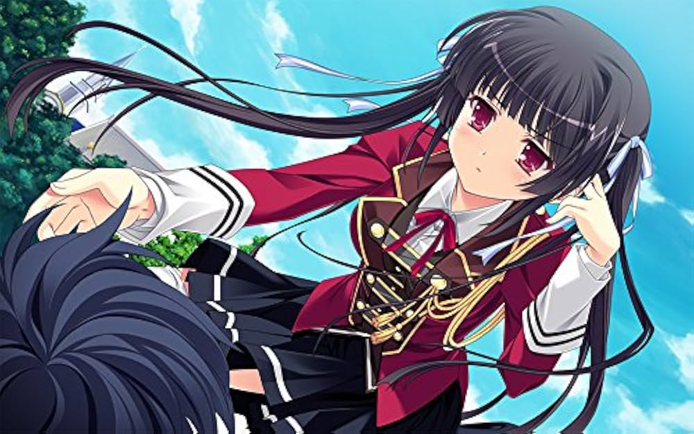 執事が姫を選ぶとき 初回限定版　未開封品 Amazon.co.jp: 執事が姫を選ぶとき 初回限定版 (【特典