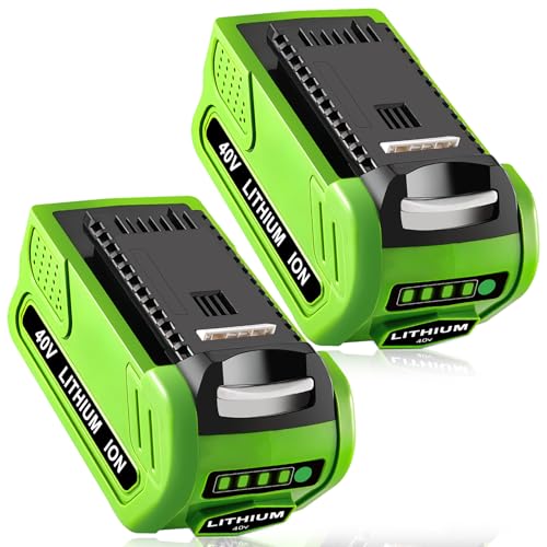 Fhybat 2-Pack 6.0Ah Battery