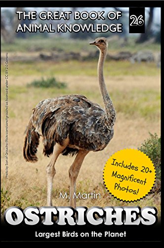 Ostriches: Largest Birds in the Planet (The Great Book of Animal Knowledge (includes 20+ magnificent photos!) 26) (English Edition)