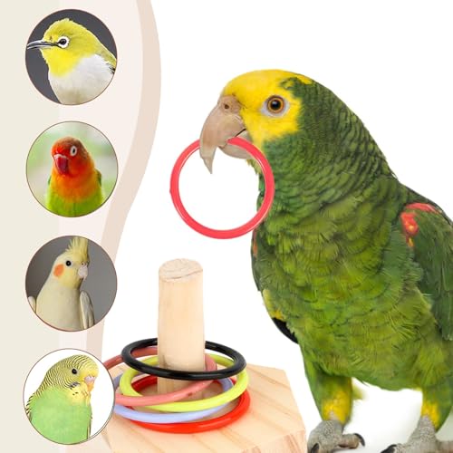 Wishes Mar 2 Parrot Toys Set - Parrot Training, Educational, Interactive Intelligence Toys for Budgies Cockatiel, Parakeet - Image 4