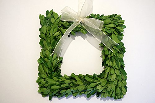 Preserved Boxwood Square Wreath 8 in. by Tradingsmith