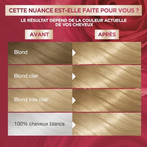 Coloration Permanente 9.13 Blond Très Couvre 100% Cheveux Blancs Color Sensation Garnier La Boite - vue 5