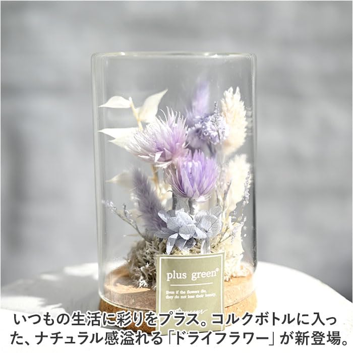 Amazon｜ドライフラワー コルクボトル ガラスボトル パープル｜ドライ