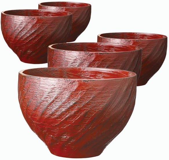 CM243】時代木製漆器 桐鳳凰・菊 金蒔絵 朱塗 引盃 五客 木製漆器 小皿