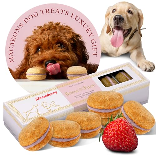 Bonne et Filou Christmas Dog Treats Strawberry Cupcakes, Dog Birthday Gift for Medium to Large Breed – Gourmet Macaron Cakes, Healthy & Delicious Human Grade Snacks – 6 Count