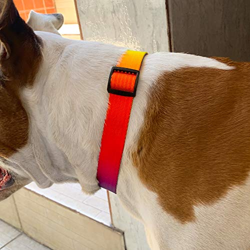 Coleira Para Cachorros dog27 Pride Tamanho:PP