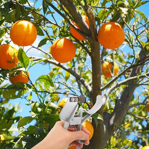 Herramienta para quitar corteza de árbol OSALADI para jardinería miniatura 5